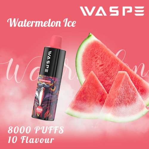 WASPE 8K PUFFS Vape Vape Bán buôn Châu Âu