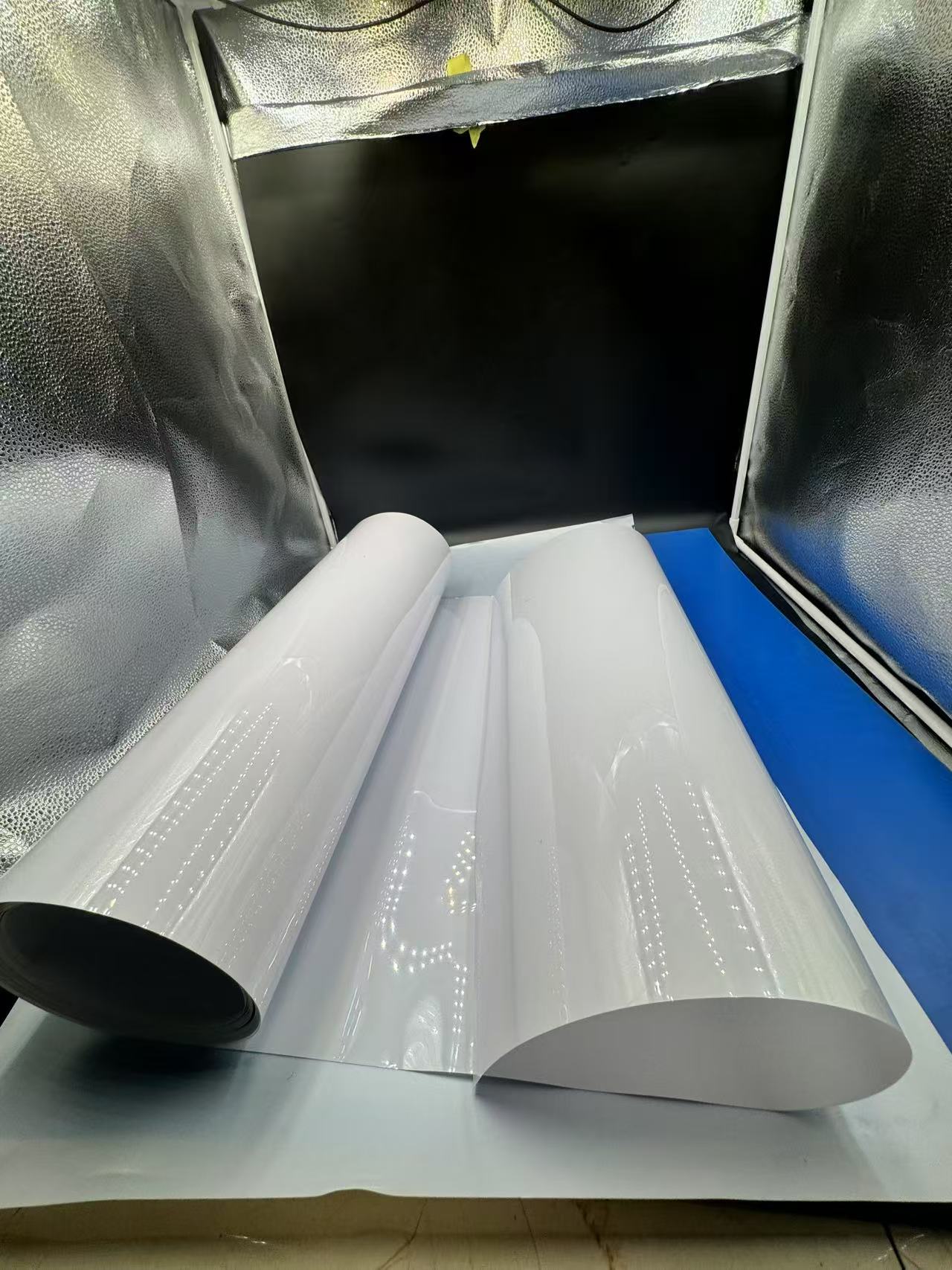 PET Blister hardware film