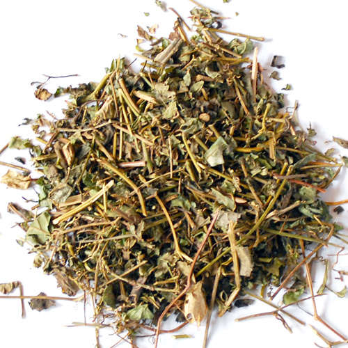Gynostemma Pentaphyllum Extract Sale
