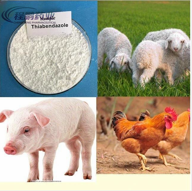 109-Raw material medical for poultry Thiabendazole