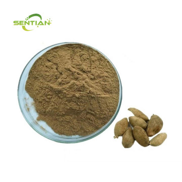 Natural Gallnut Extract Powder