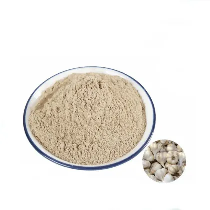 Garlic Extract Powder Allicin 10% Free Sample