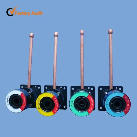 BS standard medical gas outlet