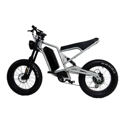 1000w lithium battery off road electric bicycle