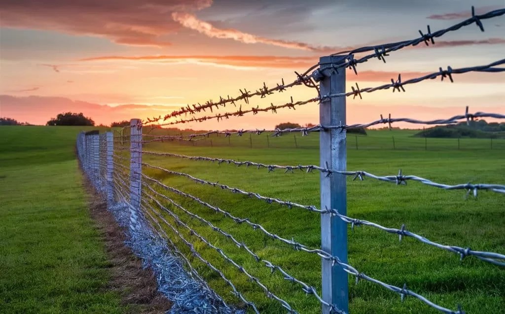 barbed wire8