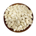 Pumpkin Seeds Inshell Halal Certificate