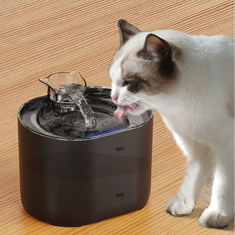 বাড়ির ব্যবহারের জন্য পরিবেশ বান্ধব পোষা জল সরবরাহকারী