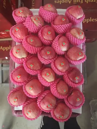 Full Color Good Quality Red Star Apple