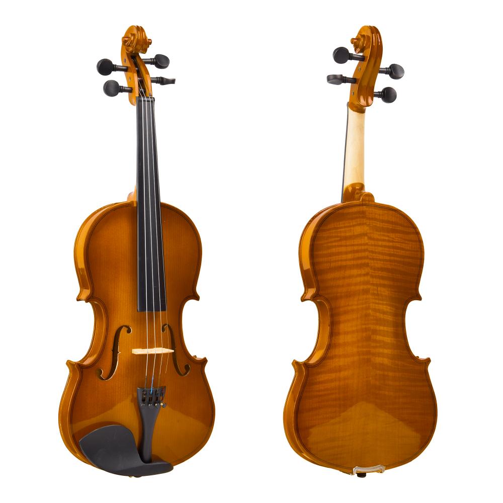 R 30 Violin Instrument