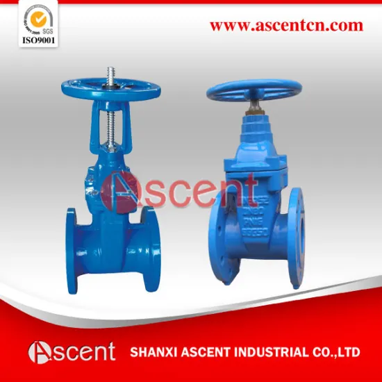 Pound Grade Double Disc Gost Standard Gate Valve