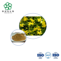 Natural Cat's Claw Extract with 5% Alkaloids Antioxidant Power