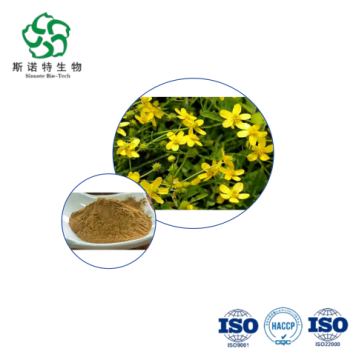 Natural Cat's Claw Extract with 5% Alkaloids Antioxidant Power