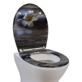 Duroplast Toilet Seat Soft Close Quick Release (Plumeria)