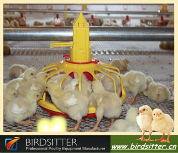 Birdsitter Farming Hot Sale Chicken Farm automation feed systems