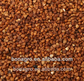 Dried buckwheat
