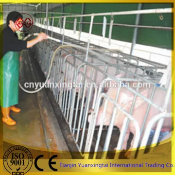steel pig gestation stall/galvanized steel pipe