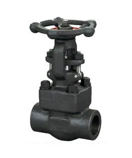Forged Socket Welded Gate Valve