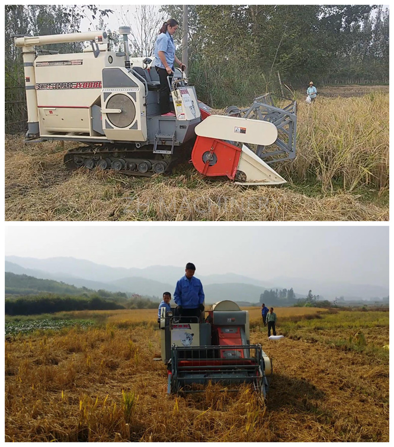 Rice Combine Harvester