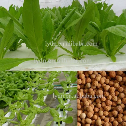 expanded clay pebbles used in vertical garden roof garden clean clay soil