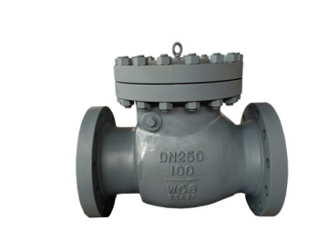 DIN/API Cast Steel Check Valve