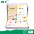 Terapia chinesa equipamento doméstico vácuo Cupping