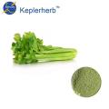 vegetable powder celery juice powder plant extract Supplier