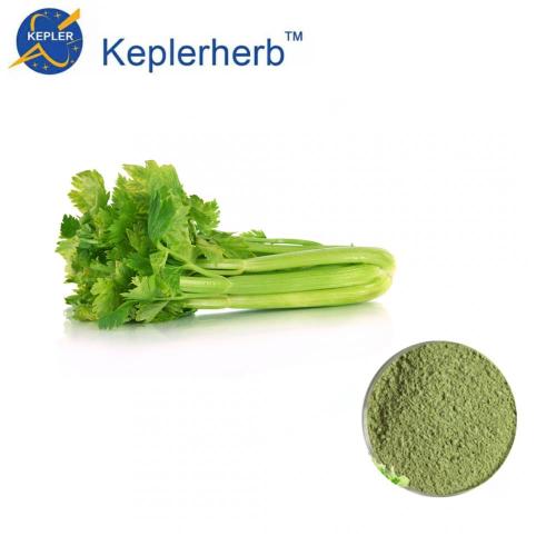 vegetable celery juice powder plant extract Supplier