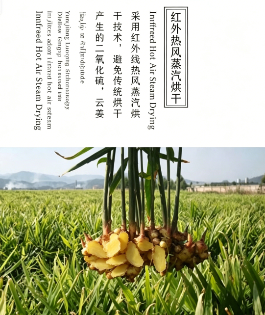 500g Dried Ginger Slices