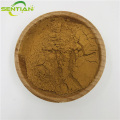 High-Quality Cardamom Extract