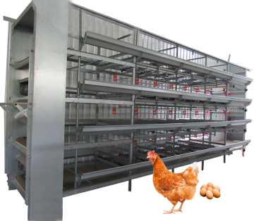 Custom Bulk Quail Cages & Pet Birdcages