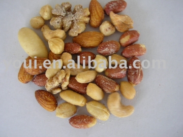 Salted Nuts Mixed