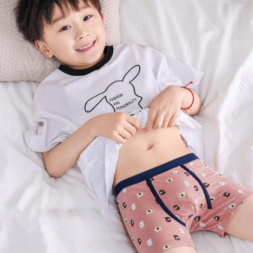2-4 Pack Children Underwear Boys Panties Cotton Boxer Children Briefs For Boy Shorts Baby Panties Kids Underwear