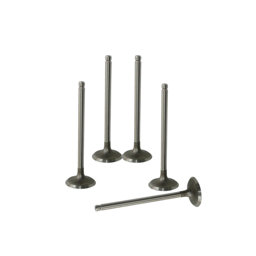 Caterpillar Engine Intake Valve