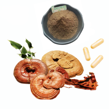 Ganoderma lucidum Reishi Mushroom Extract Polysaccharide