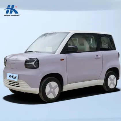 2024 ZHIDO CAIHONG Rainbow Beach Buggy - New ZHIDO Mini Sweat Car