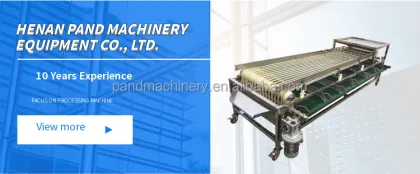 Strawberry Fruit Sorting Machine