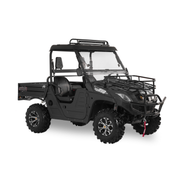 Trusted Sales 2024: High-Power 4x4 800cc Gasoline UTVs for Sale