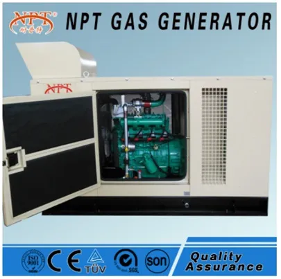 CE approved 10 kw generator biomass fuelled power plant