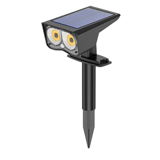 Customizable IP64 Solar Power Motion Sensor Garden Lamps with Dusk to Dawn Auto Function and Wall Mounting Option
