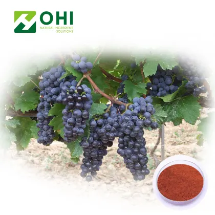 Grape Skin Extract Resveratrol 98%