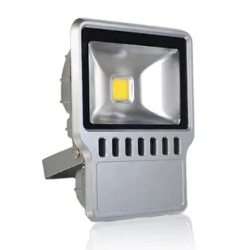 Outdoor Led Flood Lights 100w With Ip65 For Gymnasium , Gas Station