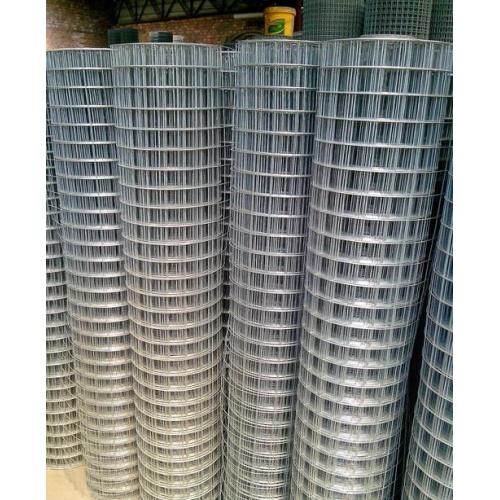 Galvanized Welded Wire Mesh in roll