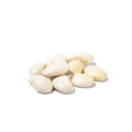 10:1 Phaseolin extract from white kidney bean