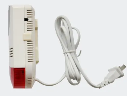 Gas Detector For House