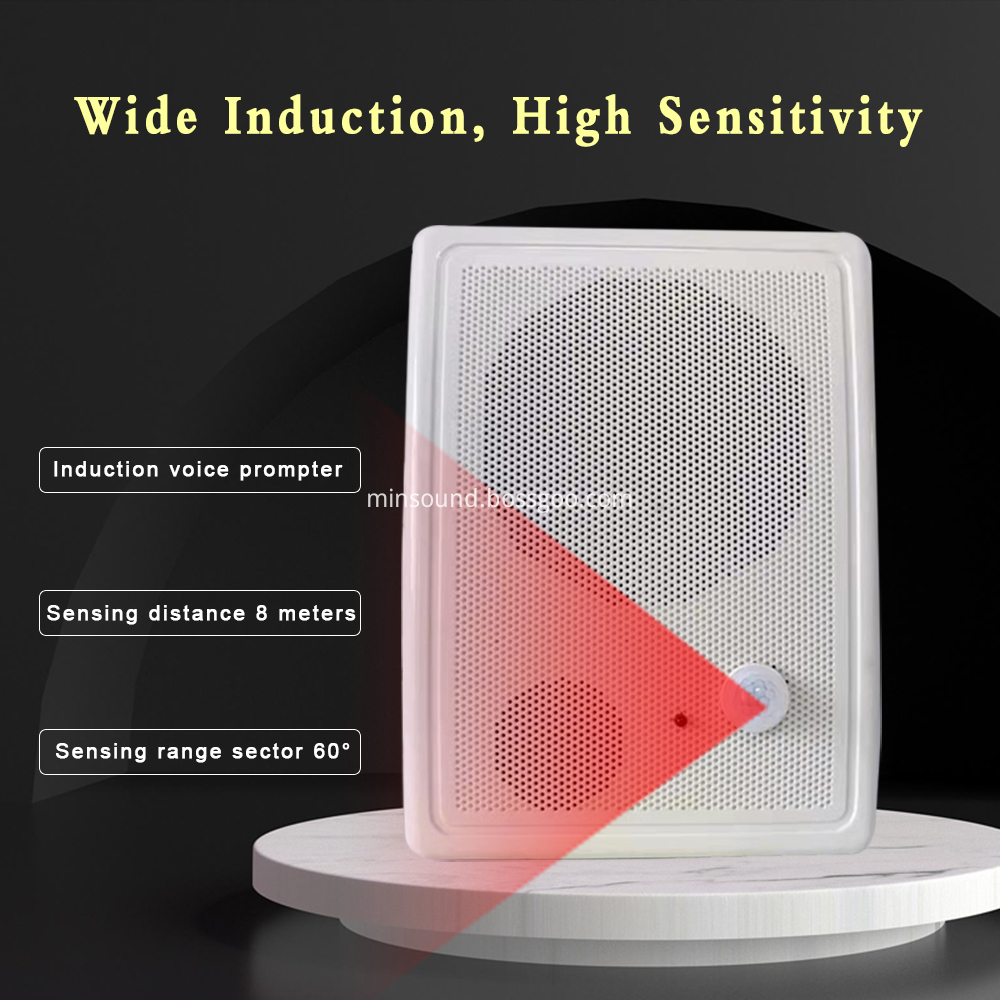 Induction Wall Speaker