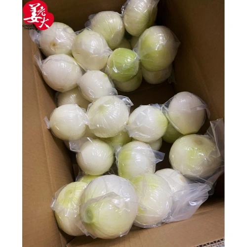 China Factory Supply 100% Fresh Red Onion Yellow Onion New Crop with Mesh  Bags - China 2020 Crop Red Yellow Onion, Red Onion Yellow Onion Supplier