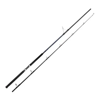 TAIGEK Sea Ocean Fishing Rods for Halibut, Sturgeon, and Salmon