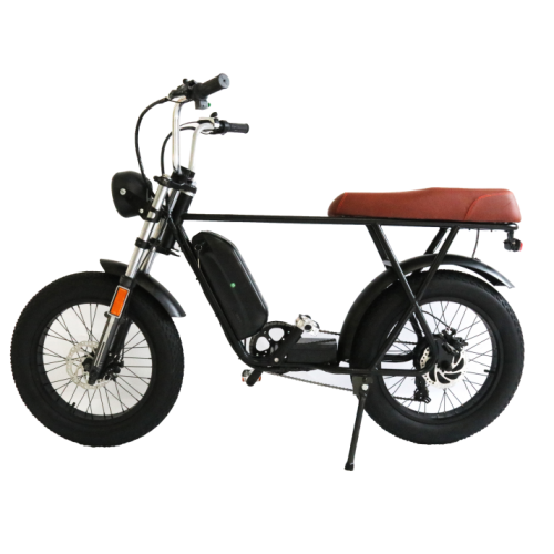 Moped Cruiser Kostenloser Versand Elektrisches Fahrrad