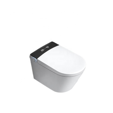Modern Wall-Mounted Toilet with Self-Cleaning Lady Care Wash Nozzle