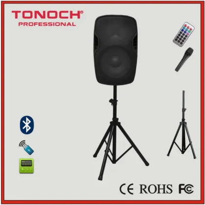 Pro Audio 8" Karaoke Active Speaker